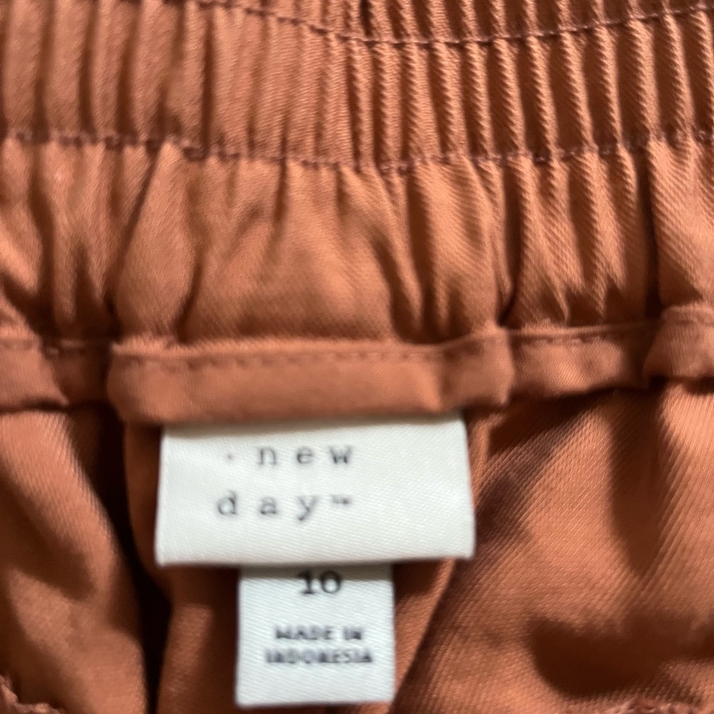 A new day rust business pants